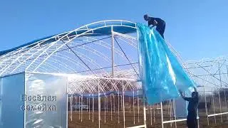 Накрываем новые теплицы пленкой