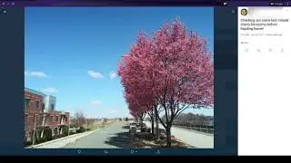 TryHackMe Sakura Room Walkthrough Tasks 4-6