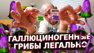Обзор ГАЛЛЮЦИНОГЕННЫХ ГРИБОВ / Легалайз в США / Зарплаты на мувинге в Калифорнии