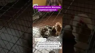 Комплект 6
