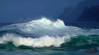 Berdien Stenberg - Allegretto (From Brahms's Symphony No. 3)