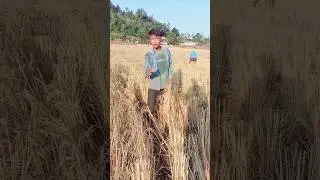 HEY PARLOK COME TO UT KBA 😆🌾 #meghalaya #comedy