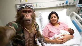 Monkey blogger sali ko lekar bhaga aur  shaadi Kar liya