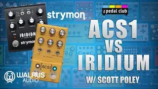 Strymon Iridium  vs Walrus Audio ACS1 | 'Amp in a Box' Shootout
