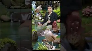 editan ada suara burungnya foto editan