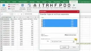 EXCELeINFO add-in - Guardar hojas en archivos separados