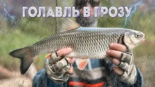 Голавль в грозу. открытие сезона 2024