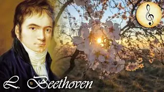 Beethoven - Egmont Overture Finale Op. 84 | Best Classical Music - Symphonic Orchestral Music