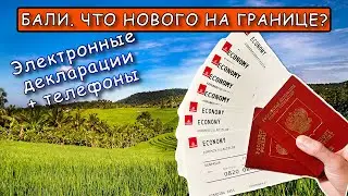 Бали. Актуальные правила декабрь 2022 // Что нового на границе? // Слетали Бали - Москва - Бали.