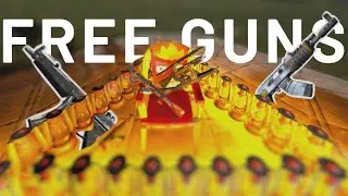 this server gave me free weapons