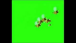 green screen bees /green screen prophets