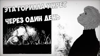 ЭТУ МАНГУ ДОЛЖЕН ПРОЧИТАТЬ АБСОЛЮТНО КАЖДЫЙ | ЭТА ГОРИЛЛА УМРEТ ЧЕРЕЗ ОДИН ДЕНЬ