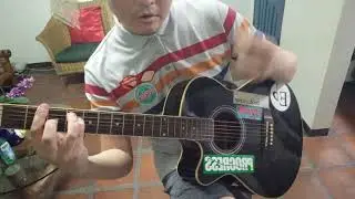 Jason Falkner - Author Unknown I Tim G Guitar Ouido