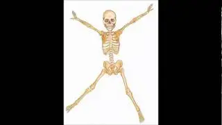 More Human Than Human by Rob Zombie