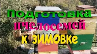 Подготовка пчелосемей к зимовке  Контроль кормов
