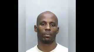 All DMX mugshot