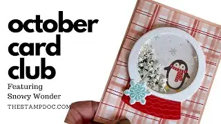 October 2024 Card Club Featuring Stampin' UP Snowy Wonder Bundle:  fun fold cards and a shaker card