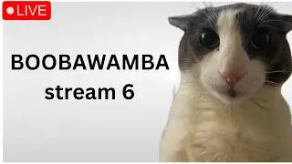 🔴 BOOBAWAMBA 100% 🔴 STREAM 6