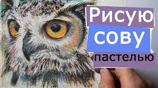 Рисую сову [как нарисовать сову пастелью] 🎨🦉