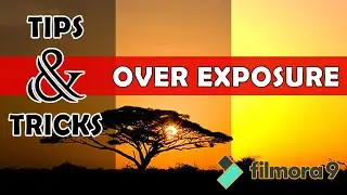 Simple Exposure Correction made EASY | Over-exposure Correction in Filmora 9