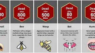 Comparison: How Many Bites To Kill You