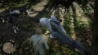 Red Dead Redemption 2 bug du cheval  difforme
