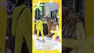 С днём Тигра 🐯! Г. Хуньчун. Китай 🇨🇳. 29.07.2024