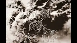 Winter Story | Composed by B.Manuel