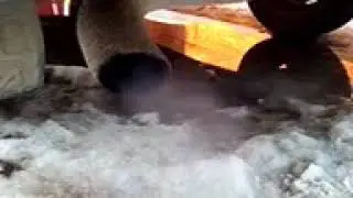 8 марта 2020 г.
