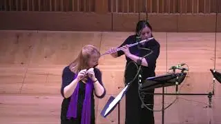 Dance of the Little Dragon by Anže Rozman performed by Festive Flutes