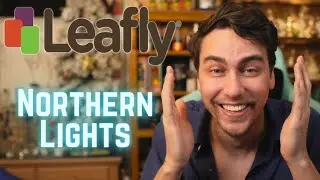 Try NOT to Laugh at NL Reviews.....