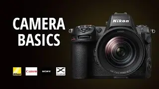 LEARN PHOTOGRAPHY - CAMERA BASICS ALL BRANDS