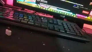 Bill Jensen Has a Breakdown Wrecks Computer Livestream (Dell Window 10 vs Window 10 Pro Has BSOD)