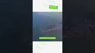 Как вам улов?) #флорида #аллигатор