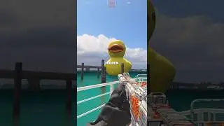 HIDDEN Easter Egg in MW3