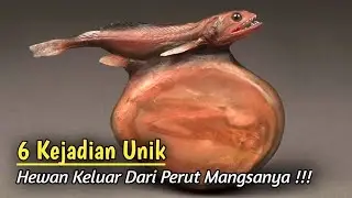 6 Kejadian Unik Ketika Binatang Keluar Dari Perut Pemangsanya