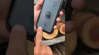 Cara Unik Menggunakan Kamera Digital Instax Pal™️