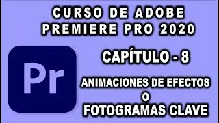 Curso de edición de video - Adobe Premiere Pro 2020 - 🎬 * Capítulo 8 - Los fotogramas clave