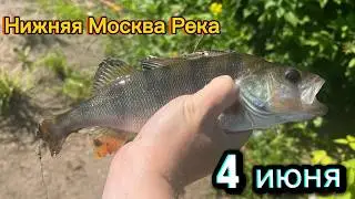 Fishing in the Lower Moskva River | Spinning | Dropshot Rig June 4, 2026