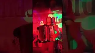 BUJAR VOGLI cover RUMUNE live 2024