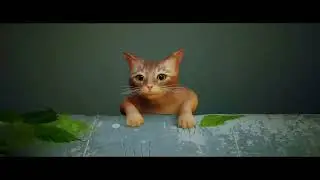 Stray - в погоне за последней ачивкой.