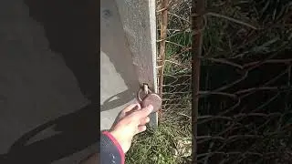Жаннат эшиги! Jannat eshigi