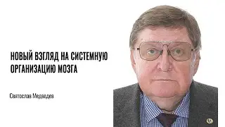 A New Look at the Brain's Systemic Organization. Svyatoslav Medvedev