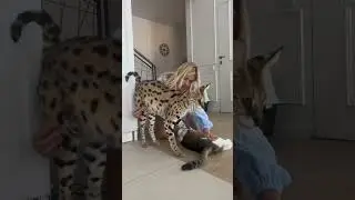 Приехали домой а тут🤦🏼‍♀️ все как обычно!🤣 как думаете какой рост в Севы?