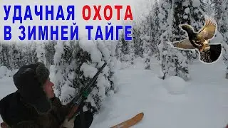 Охота на глухаря зимой.
