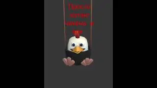 катаю чикена