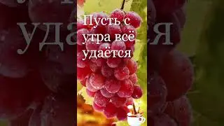 "Доброе утро" 269 #открытка