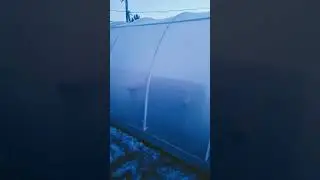 дезинфекции теплиц шашка  Фас.