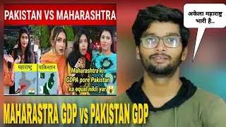 अकेलले महाराष्ट्र की GDP पूरे पाकिस्तान पर भारी रो उठे पाकिस्तानी| MAHARASTRA GDP vs PAKISTAN GDP |