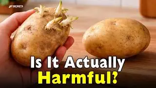Are Sprouted Potatoes Safe? Most People Read the Sign Wrong
